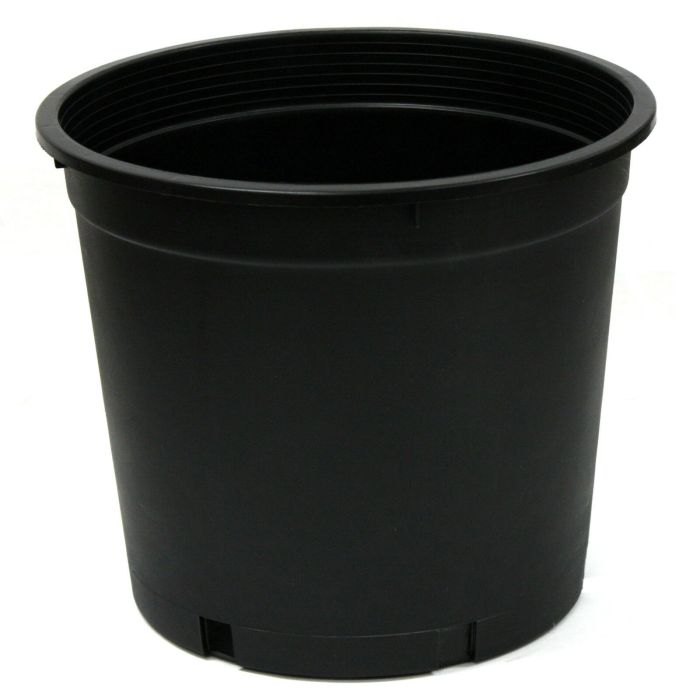 Black plastic plant pots