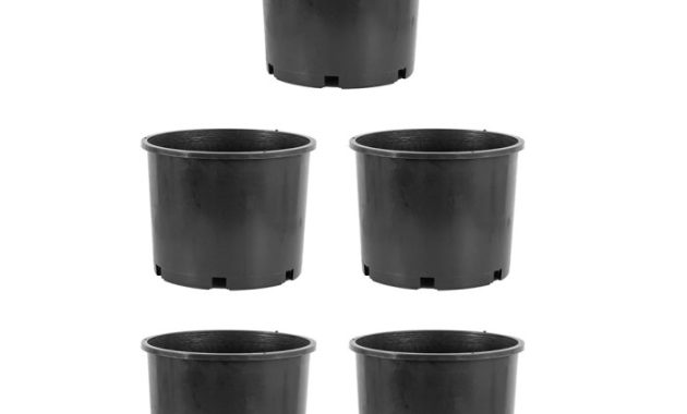 7 Gallon Plant Pot A Comprehensive Guide