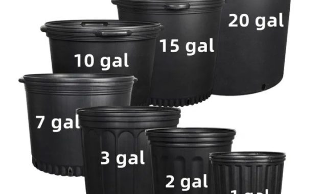 10 gallon plant pot