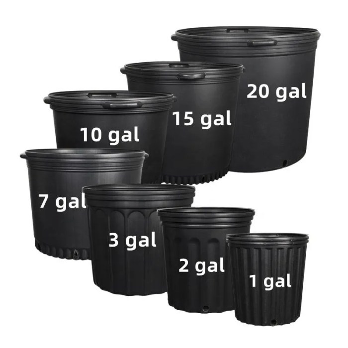 10 gallon plant pot