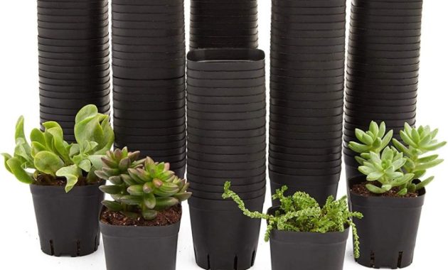 Black Plastic Plant Pots A Deep Dive