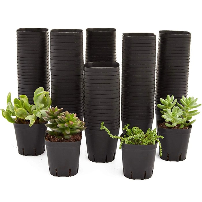 Black plastic plant pots