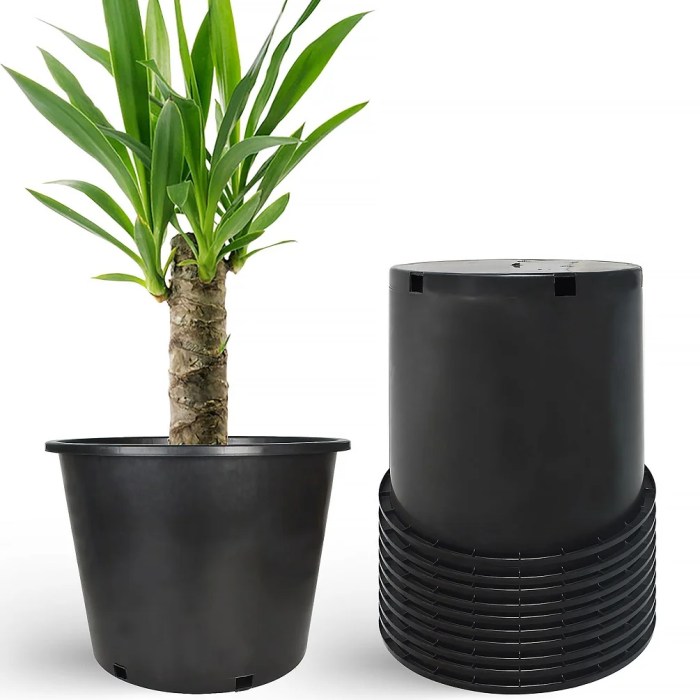 7 gallon plant pot