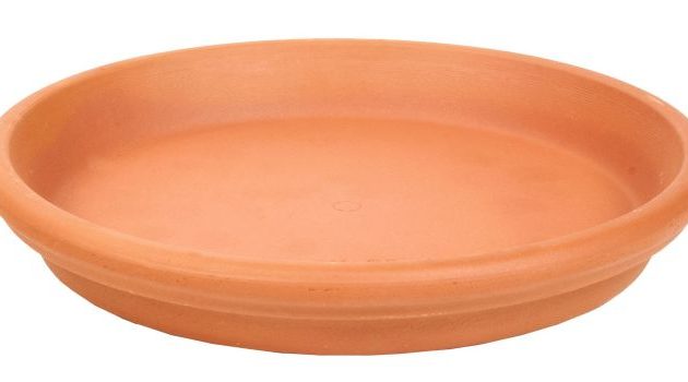 Saucer for Plant Pots A Complete Guide