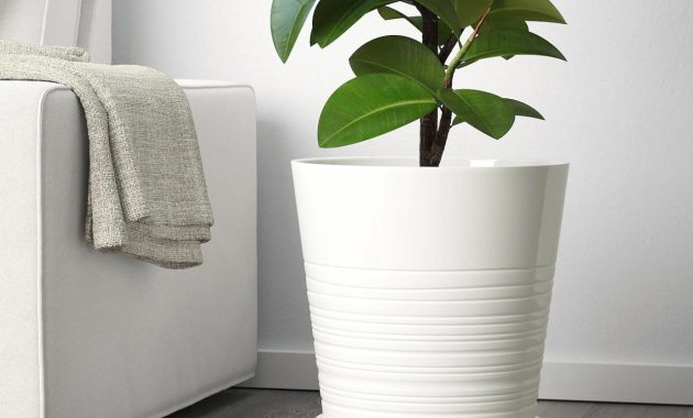 Ikea plant pot 12 inch