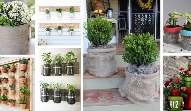 Pot Plant Arrangement Ideas Creative Designs